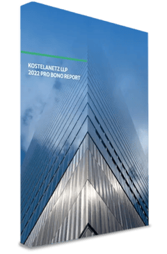 2022 Pro Bono Report